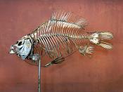 galerie de paleontologie et de anatomie comparee 5-2013 2018